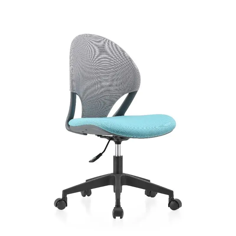 Ergonomischer Bürostuhl aus Ne – Leatherwork Roller Bewertung und Preis